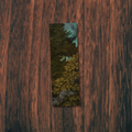 The Spring Maiden Bookmark