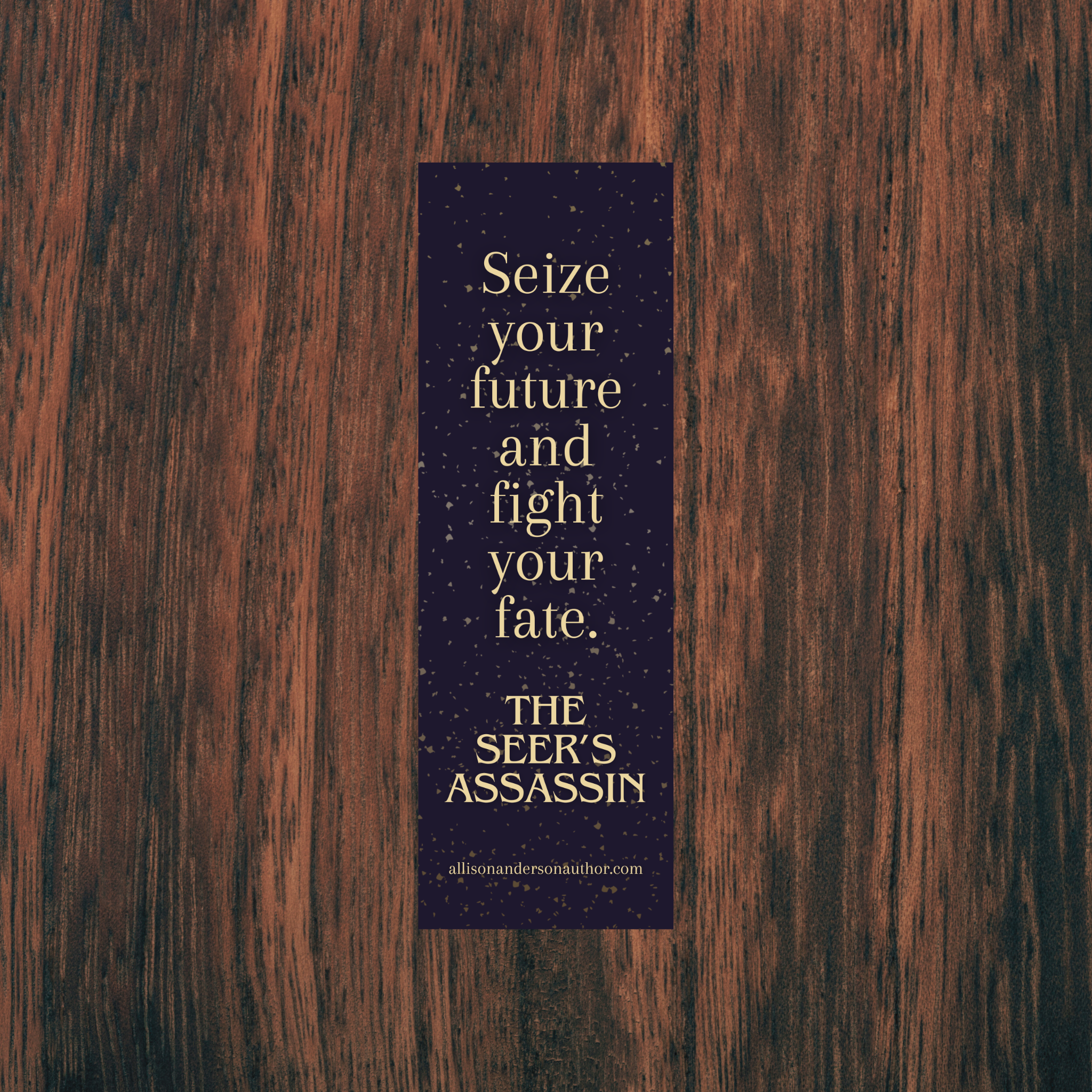 The Seer's Assassin Bookmark