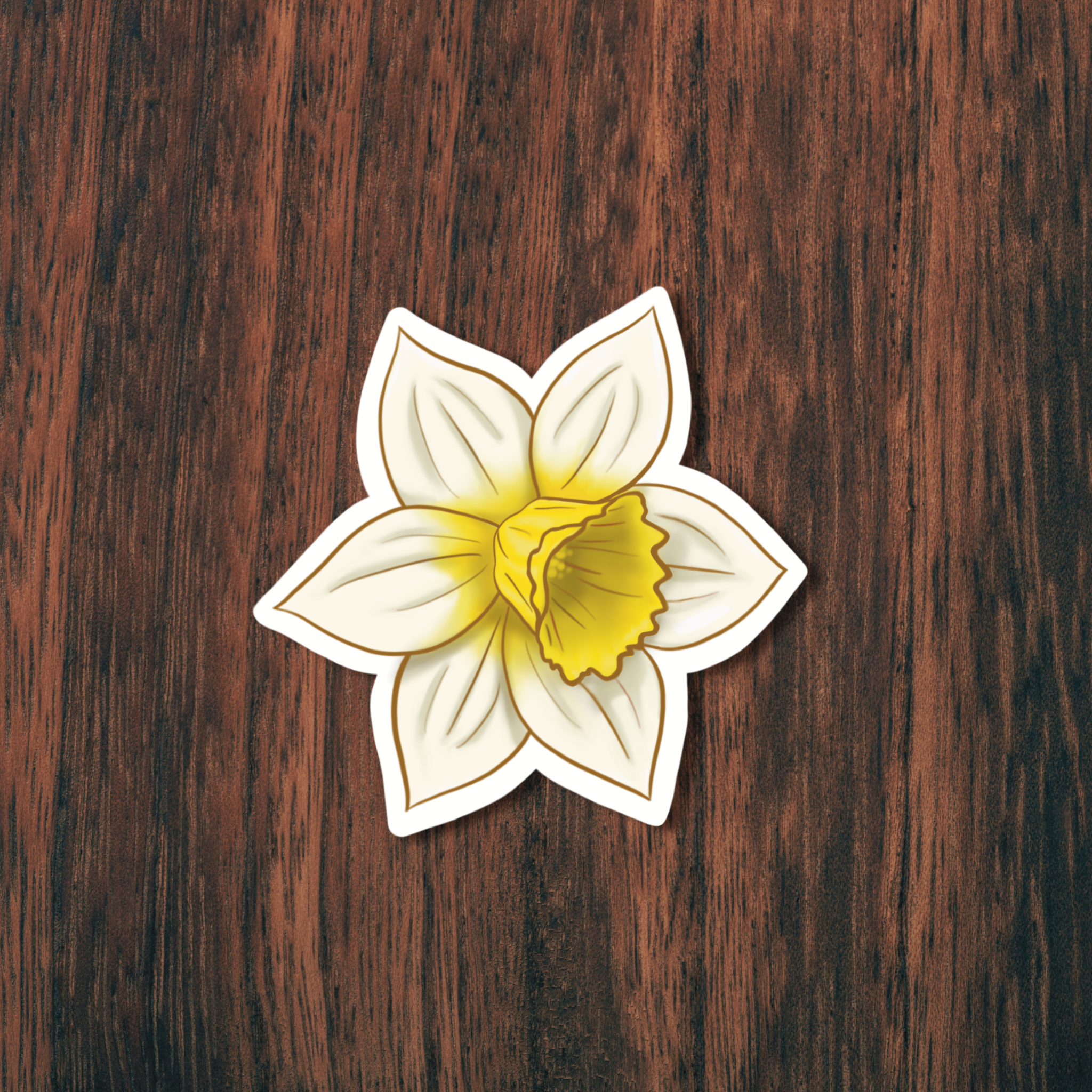 White Daffodil Sticker